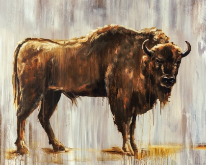 Picture of BISON