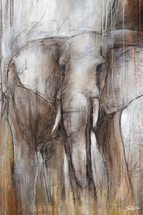 Picture of ELEPHANT STUDY