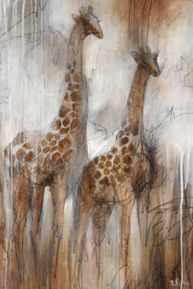 Picture of GIRAFFE STUDY