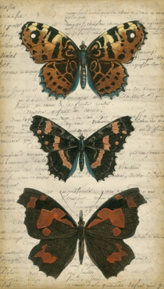 Picture of BUTTERFLY SCRIPT II