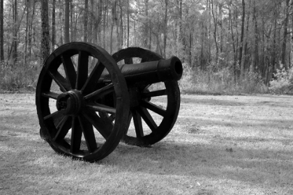 Picture of A VINTAGE CANNON IN ALABAMA