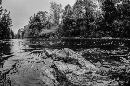Picture of BIG ESCAMBIA CREEK IN THE POARCH BAND OF CREEK INDIANS