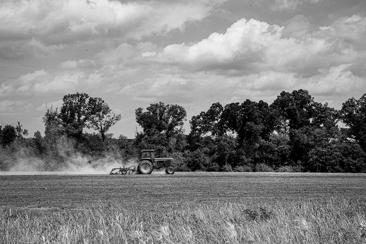 Picture of FARMLAND IN MONROE COUNTY-ALABAMA