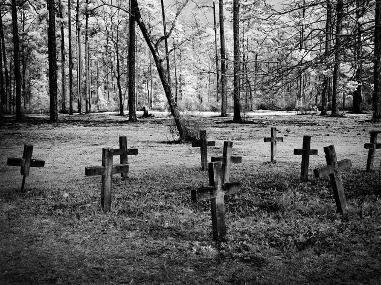 Picture of HISTORIC BLAKELEY STATE PARK IN ALABAMA