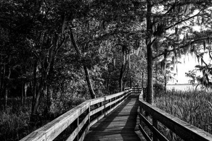 Picture of HISTORIC BLAKELEY STATE PARK ON THE TENSAW RIVER