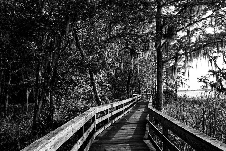 Picture of HISTORIC BLAKELEY STATE PARK ON THE TENSAW RIVER