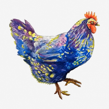 Picture of BLUE CHICKEN