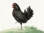 Picture of STANDING BLACK CHICKEN