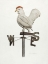Picture of WEATHER VANE