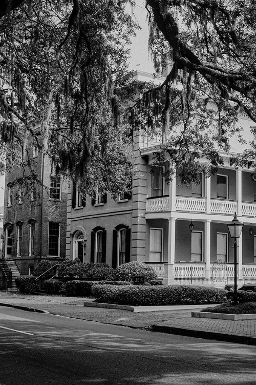 Picture of HISTORIC SAVANNAH