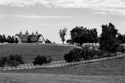 Picture of A FARM IN BLUEGRASS-LEXINGTON-KENTUCKY