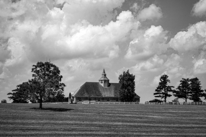 Picture of HORSE FARM IN LEXINGTON-KENTUCKY