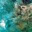 Picture of THE MEANDERING OHIO RIVER