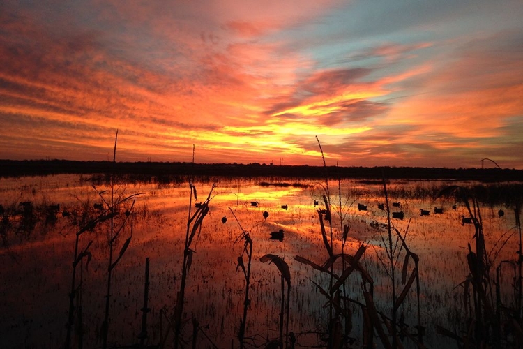 Picture of MARCH SUNRISE IN MISSOURI