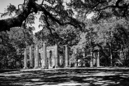 Picture of THE OLD SHELDON CHURCH RUINS-SOUTH CAROLINA