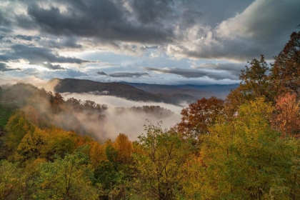 Picture of AUTUMN LANDSCAPE TENNESSEE