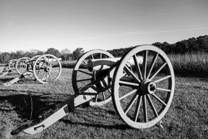 Picture of CANNONS AT SHILOH NATIONAL MILITARY PARK TENNESSEE