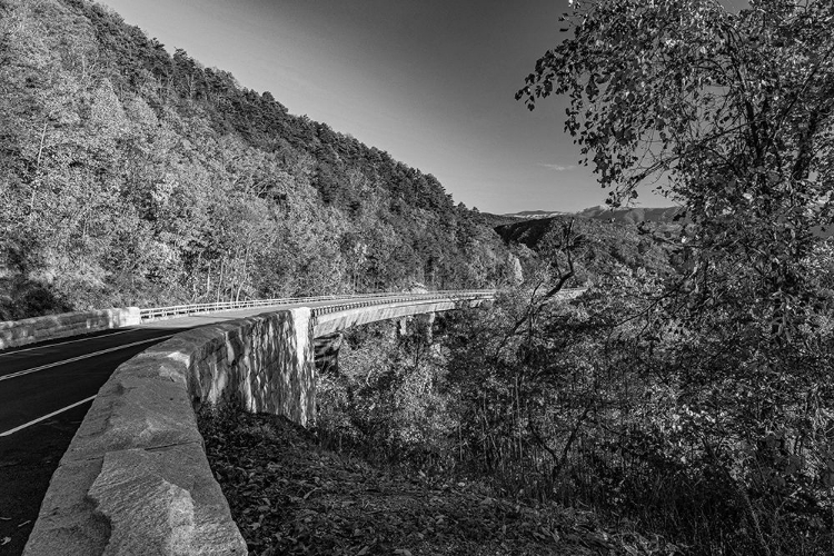 Picture of FOOTHILLS PARKWAY TENNESSEE DURING AUTUMN I