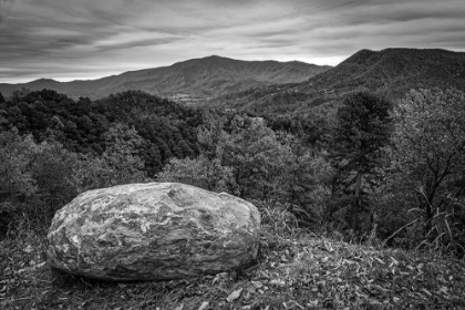 Picture of FOOTHILLS PARKWAY TENNESSEE DURING AUTUMN II