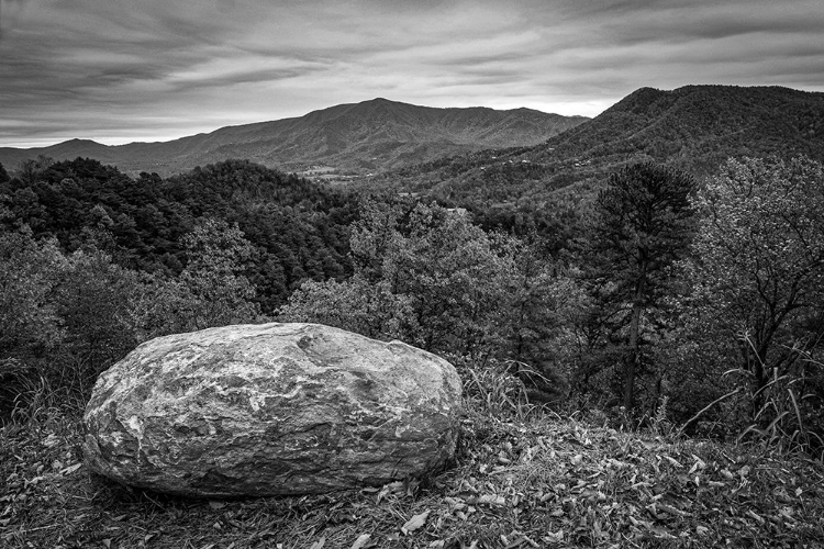 Picture of FOOTHILLS PARKWAY TENNESSEE DURING AUTUMN II