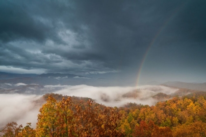 Picture of FOOTHILLS PARKWAY TENNESSEE DURING AUTUMN III