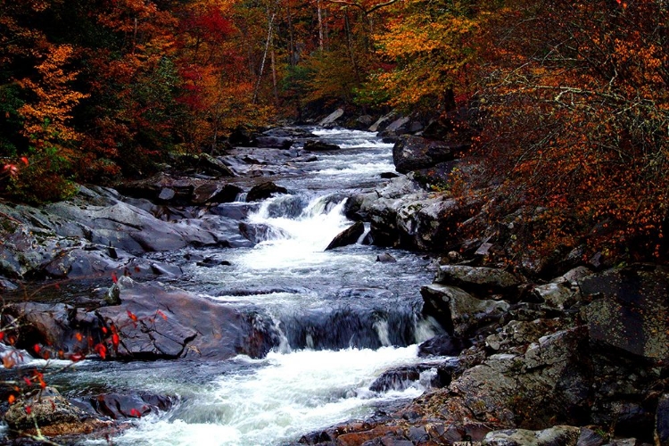 Picture of TENNESSEE GREAT SMOKY MOUNTAINS NATIONAL PARK