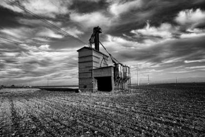 Picture of AGRICULTURAL FARM LAND TEXAS