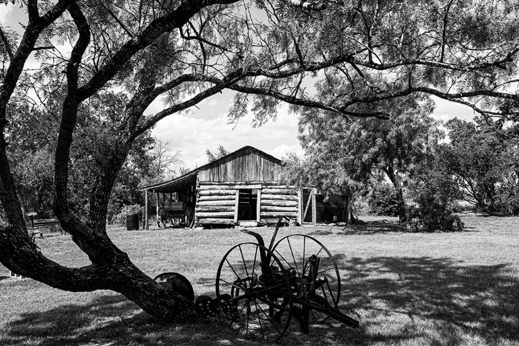 Picture of AN OLD WOODEN CABIN IN TEXAS