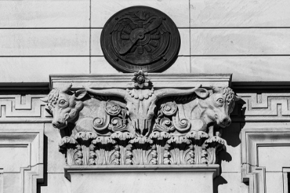 Picture of LONGHORN ON THE US POST OFFICE IN FORT WORTH-TEXAS