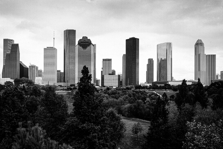 Picture of HOUSTON-TEXAS SKYLINE II