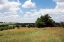 Picture of LONESOME PINE RANCH-AUSTIN-TEXAS