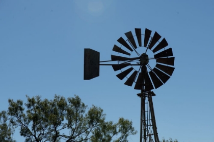 Picture of OLD WINDMILL NEAR BATESVILLE-TEXAS