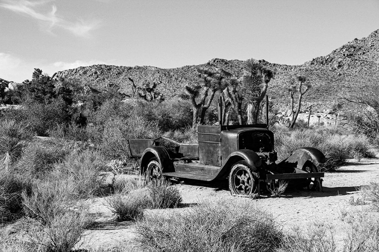 Picture of ABANDONED TRUCK IN THE DESERT