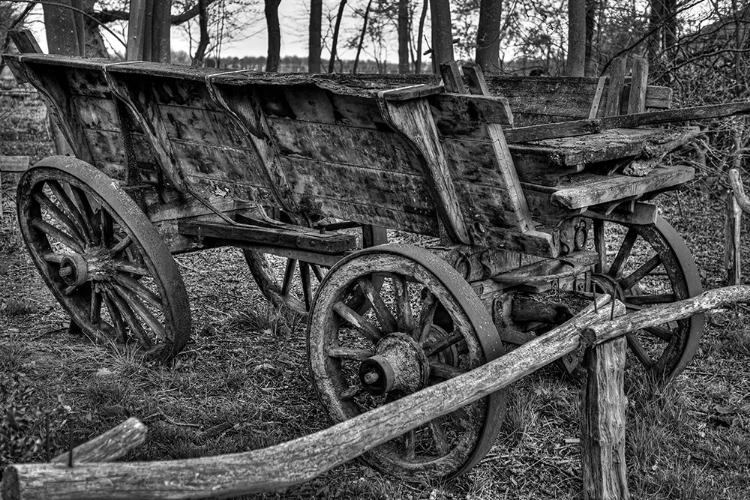 Picture of ANTIQUE CART