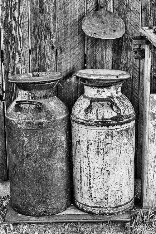 Picture of MILK CHURNS