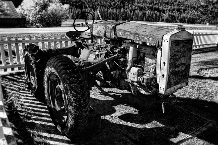 Picture of VINTAGE MASSEY