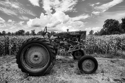 Picture of VINTAGE TRACTOR BESIDE A CORNFIELD IN HABERSHAM COUNTY-GEORGIA