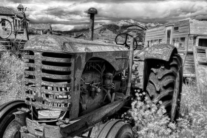 Picture of VINTAGE TRACTOR