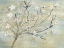 Picture of BLOSSOMS AND SPRING RAIN