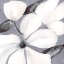 Picture of SUMMER DELIGHT II