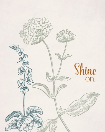 Picture of SHINE ON