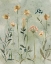 Picture of BOTANICAL SKETCHBOOK
