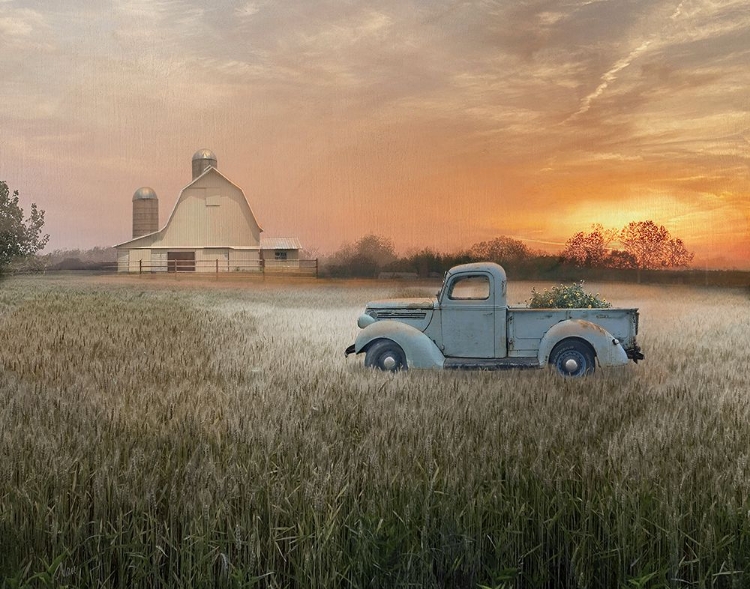 Picture of EVENING FARM