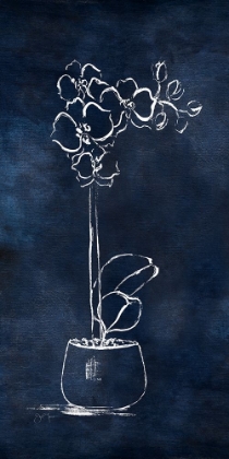 Picture of INDIGO ORCHID I