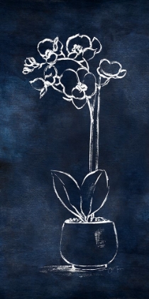 Picture of INDIGO ORCHID II