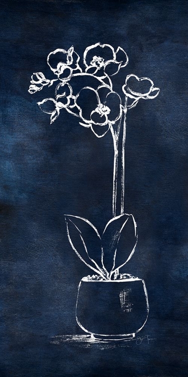 Picture of INDIGO ORCHID II