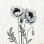 Picture of POPPIES I