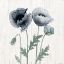 Picture of POPPIES II