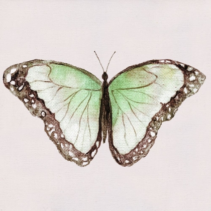 Picture of EMERALD BUTTERFLY I
