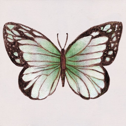 Picture of EMERALD BUTTERLY II